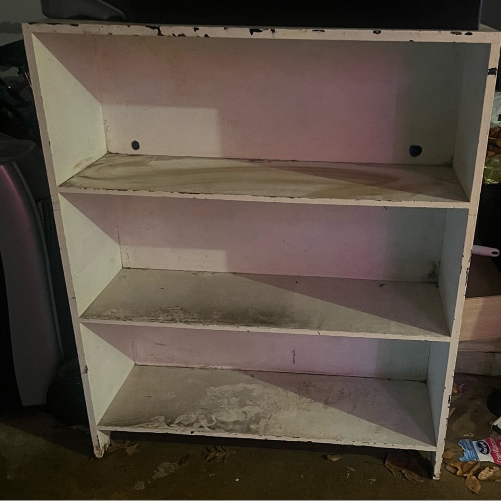 Free book shelf needs to be clean or painted